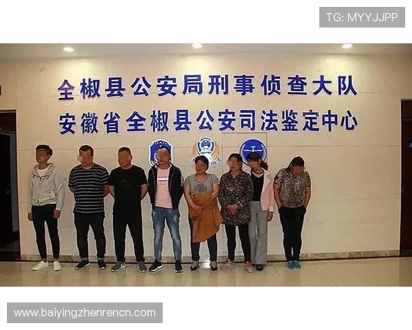 真人实体赌场网投平台攻略，详细解析如何提升在线赌博的胜率与安全保障